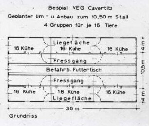 Grundriss des umgebauten Einraumstalles zu einem Stall mit mittl. befahrbarem Futtertisch für 96 Kühe