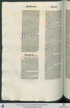 Argumentum in librum iob
