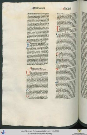 Argumentum in librum iob