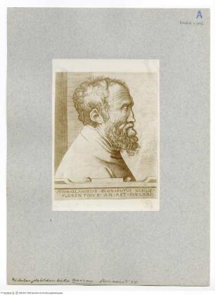 Porträt des Michelangelo Buonarroti