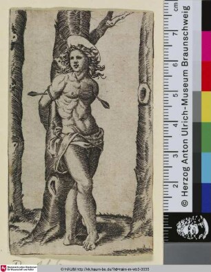 [St. Sébastien; Der Heilige Sebastian]