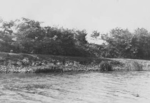 Uferschutz am Mittellandkanal