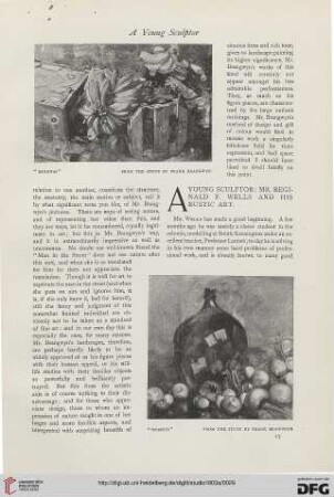 28: A young sculptor: Mr. Reginald F. Wells and his rustic art