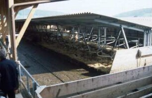 Fotografie: Liegehalle, Liegebox, Tiefbox