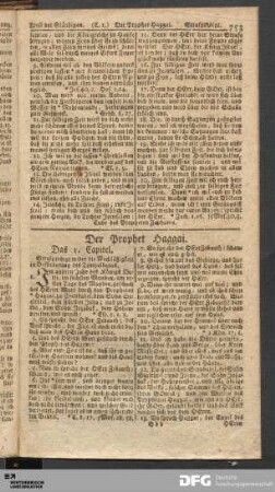 Der Prophet Haggai.