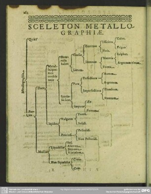 Sceleton Metallographiae