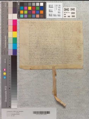 Abt Reinhard von Corvey belehnt Johanne van Beveren [Bevern] mit einem Meierhof zu Heyen und vier Hufen Land, früher im Besitz der van Heillen [?] und beleibzuchtet Gerduden Beveren, Hausfrau des Arndes van Beveren, Sohn des genannten Johann, damit. Am mondage na dem sundage letare.