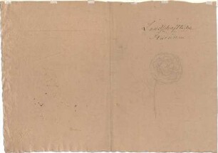 Neureuther, Eugen Napoleon; u. a. Deutschland; Griechenland; Italien; Schweiz; Studien- und Reiseskizzen - Blume (Studie)