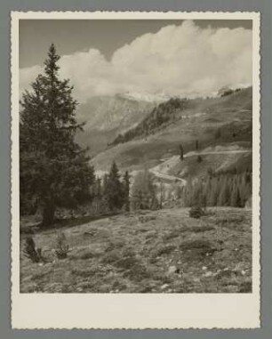Blick auf den Muliatsch