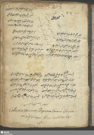 [Anthologie türkischer Gedichte] - Mscr.Dresd.Ea.26