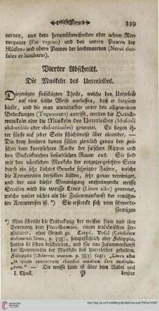 Vierter Abschnitt: Die Muskeln des Unterleibes
