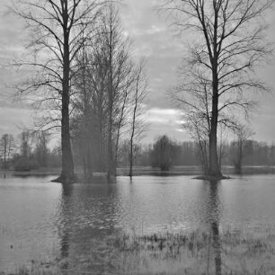Landschaftsbild. Winter im Spreewald. Überflutete Wiesen und Felder bei Lübbenau. : Wobraz krajiny. Zyma w Błótach. Łuki a pola wokoło Lubnjowa su přepławjene.
