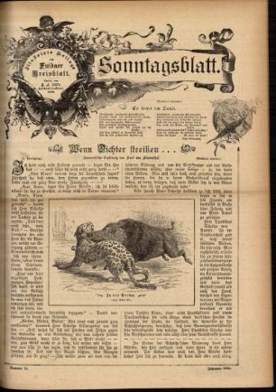 Ausgabe vom Sonntag, den 10. März 1895.