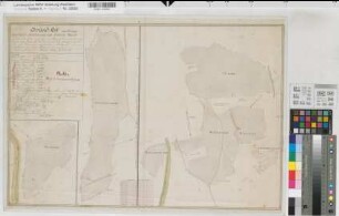 Calle (Meschede), Teilung der Caller Markwaldungen Markwaldungen Ranzenberg, Mülsbornerstein, Hardt, Hundstein, Haskenbusch, Vermessung der Caller, Mülsborner und Schürer Mark Bl.1 Franz Gipperich, Geometer