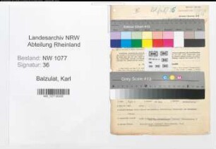 Entnazifizierung Karl Balzulat , geb. 25.03.1887 (Polizist)