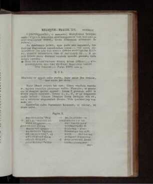 XVI. Membrana ex ægyptio codice avulsa, longa uncias fere tredecim, lata uncias fere decem