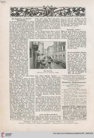 Der Amateur-Photograph