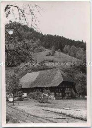 Schwarzwald, Gutachtal