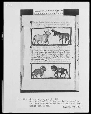 Antonius de Mercatello, Liber de arte memoria cum commentario — Textseite mit zwei Miniaturen, Folio 38verso