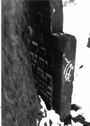 Grabstein 392 (Detailaufnahme 3)