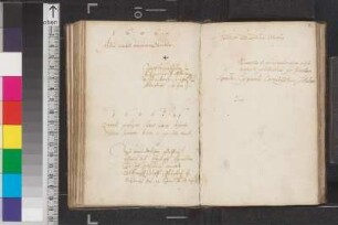 Hohenfelder, Otho; Blatt 81v, 1. Eintrag
