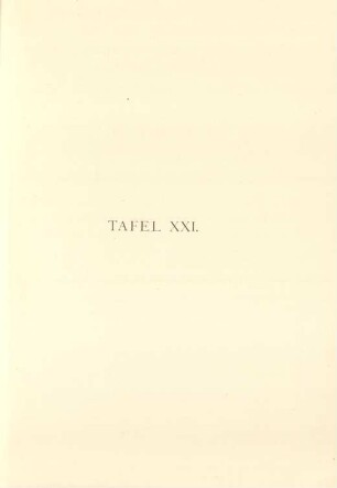 Tafel XXI.