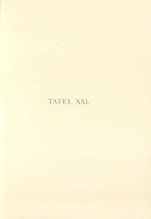 Tafel XXI.