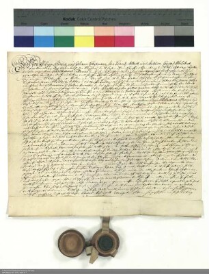 Revers Philipp Ludwigs von Rosenbach und seiner Brüder bezüglich der Belehnung mit Schackau und weiteren im Einzelnen aufgeführten Lehen durch Adalbert [von Schleifras], Abt von Fulda