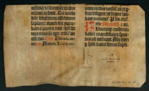 1r-1v, Missale Bambergense (Fragment): unteres Drittel von Bl. CCXIIII