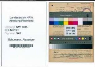 Entnazifizierung Alexander Schumann , geb. 12.08.1898 (Kaufmaennischer Angestellter)