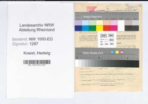 Entnazifizierung Hedwig Kneist, geb. 05.01.1895 (Lehrerin)