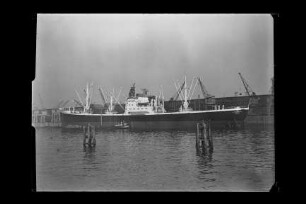Belgrano (1953), Frachtschiff, HSDG, Hamburg, Bau-Nr. 435