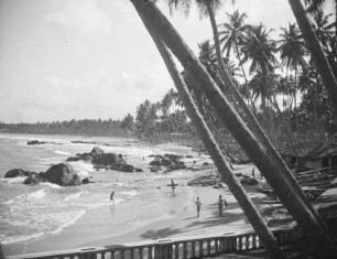 Küstenabschnitt auf Ceylon : Ansicht mit Palmenstrand. Im Vordergrund Uferbalustrade
