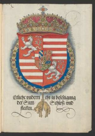 Etliche vnderri cht/ zu befestigung || der Stett/ Schlosz/ vnd || flecken.||