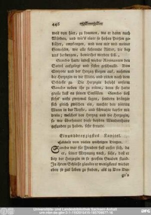 Einunddreyzigstes Kapitel. Handelt von vielen wichtigen Dingen.