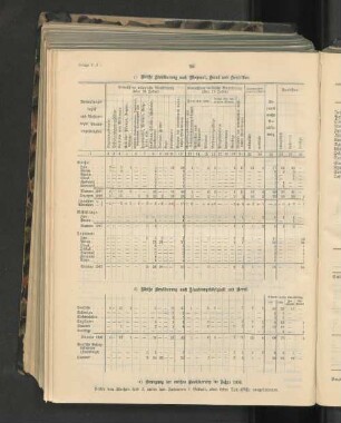 Bewegung der weißen Bevölkerung im Jahre 1906.