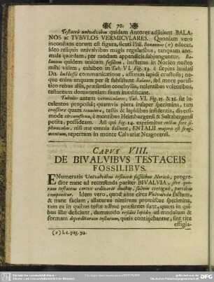 Caput VIII. De Bivalvibus Testaceis Fossilibus