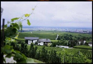 Neuweier: Hotel im Weinberg