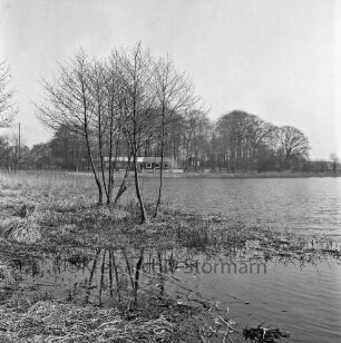 Lütjensee: Blick über den See: vorn Wiese, Schilf und Bäume: links Gelände des Campingplatzes: hinten Holzhaus mit Gastronomie und Toiletten: dahinter Wald