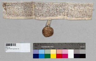 Freistiftsrevers des Thomas Prachs, Sohn des verstorbenen Georg Prachs, gegenüber Propst Kaspar von Baumburg für das Gut zu Salling.; S: Alex Gessenberger
