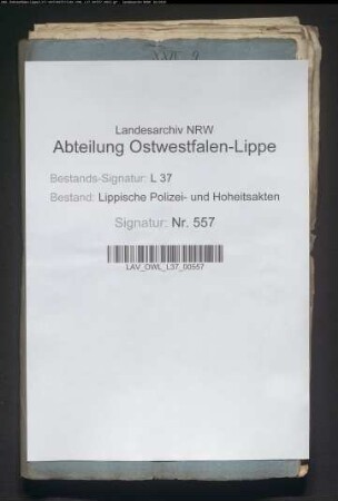 Unterstützung der von Hagelschlag und Überschwemmungen betroffenen Bauerschaften Sonneborn, Sabbenhausen, Wörderfeld und Tintrup