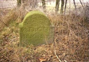 Wiemerskamp: bei Pfingsthorst 17: Grenzstein [Nr. 64] zwischen Adligem Gut Wulksfelde und Adligem Gut Stegen: Seite Wulksfelde