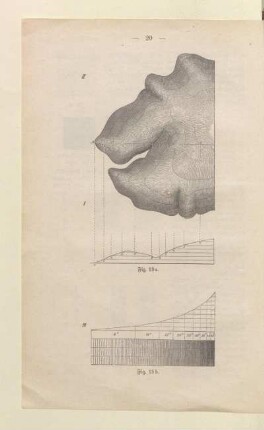 [Fig.13a.-13.b]
