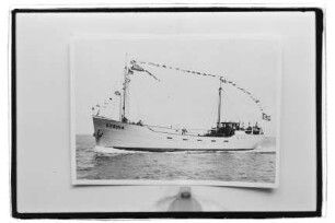 Gebina (1939), Schepers, Haren