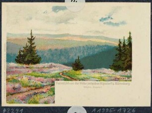 Fersicht von der Höhe zwischen Kipsdorf und Bärenburg (Altenberg)