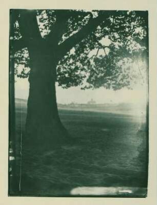 Baum an der Ringbahn mit Blick Richtung Gebäude der Photographischen Gesellschaft und Pension "Tanneck" - Westendkolonie