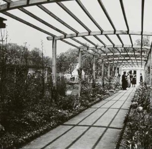 Pergola