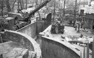 Umzug der Braunbären im Karlsruher Zoo in ihr neues Gehege.