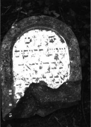 Grabstein 19 (Index: 100105621) Material: Muschelkalk Zustand: unterer Teil der Stele weggebrochen mit Textverlust, Stele liegend, Fragment Maße HxBxT: 51x38x14 cm Beschreibung: Stele, Rundbogenabschluß, Schriftfeld eingetieft: Grabstein 19B