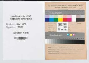Entnazifizierung Hans Stricker, geb. 02.01.1906 (Pfleger)
